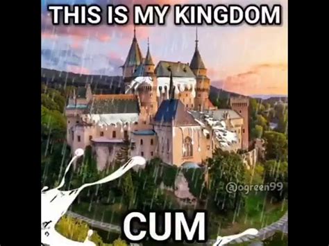 This is my kingdom cum but Tom and JerryTom got cummed by Jerry